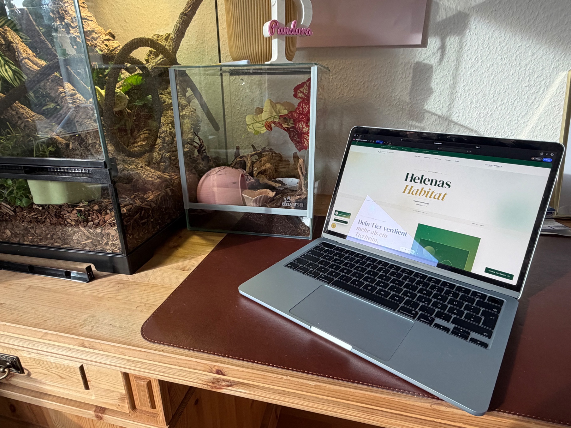 Arbeitsplatz neben den Terrarien
