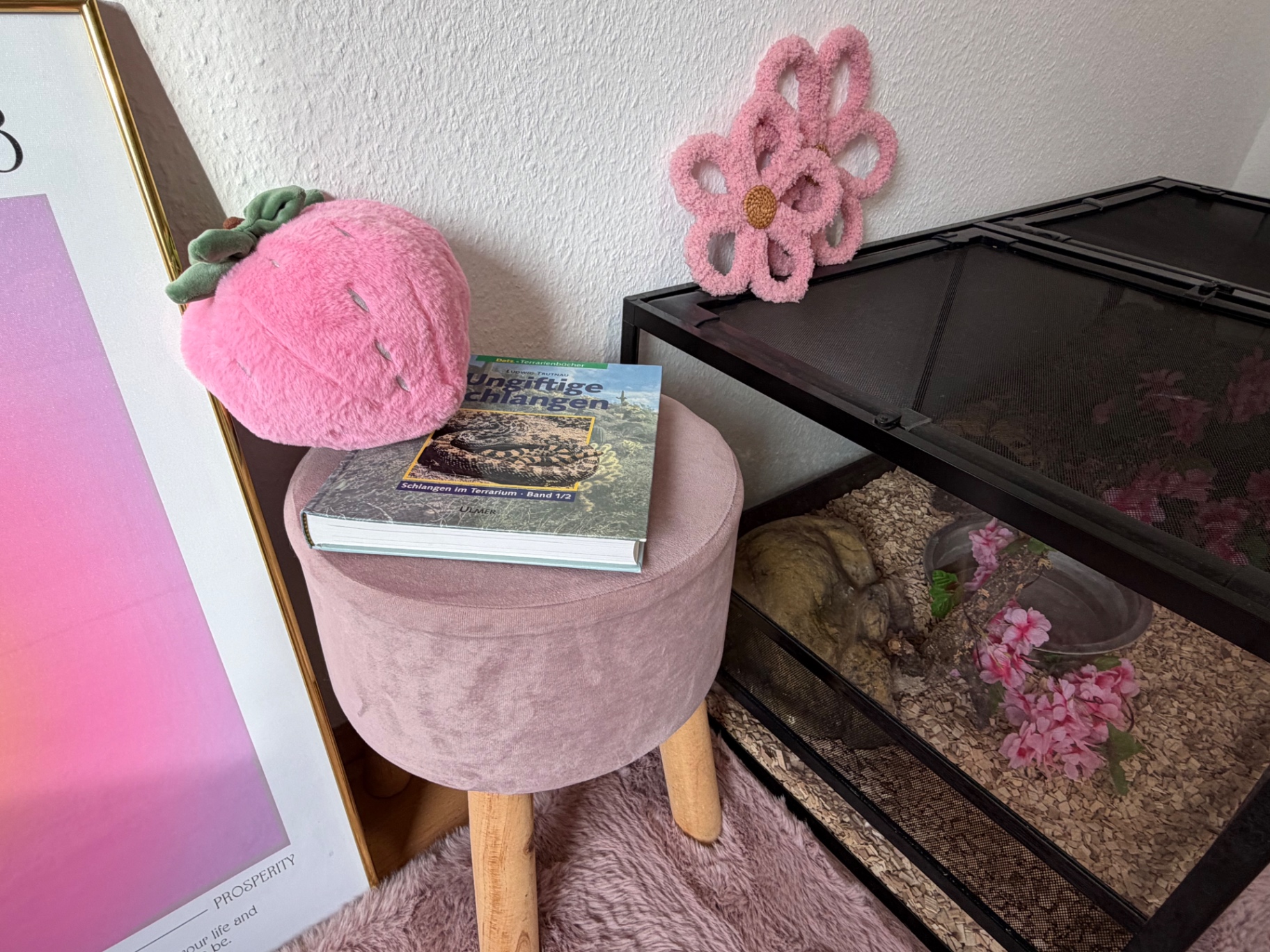 Hocker mit Fachbuch ‚Ungiftige Schlangen‘ neben Terrarium
